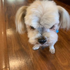 Meet your Posher, Cindy